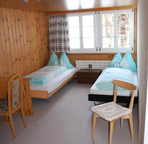 Spinne * Grindelwald