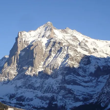 Spinne Apartment Grindelwald