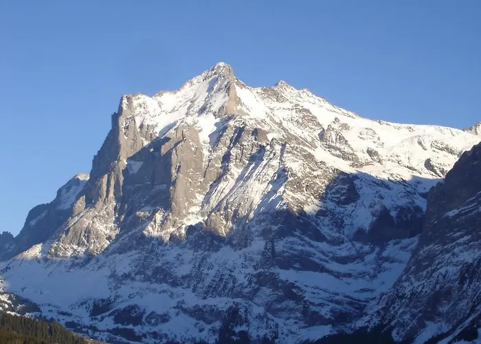 Spinne Apartmán Grindelwald